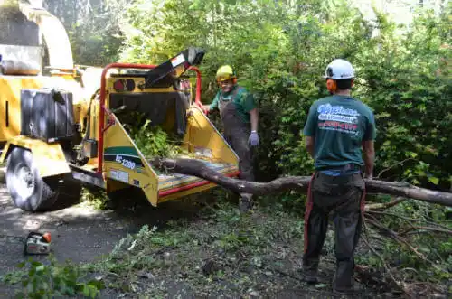 tree services Quartzsite